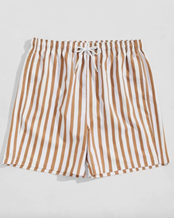 Sunset Stripe Swim Shorts