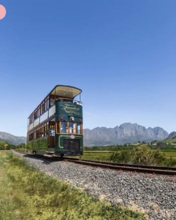 Wine Tram in Franchoek